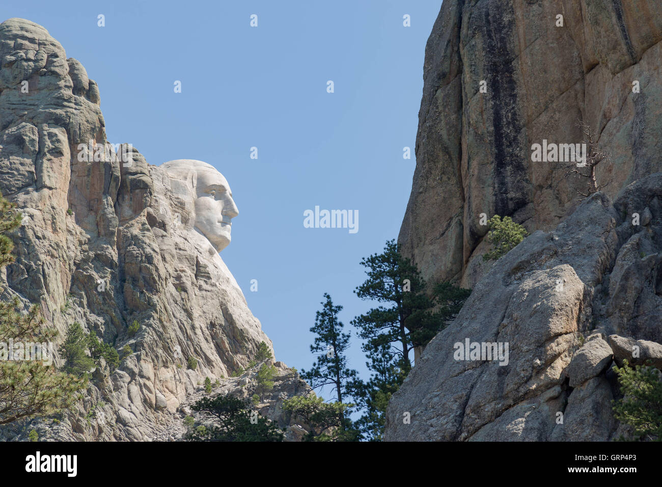 Vista di profilo di George Washington a Mt. Rushmore. Foto Stock