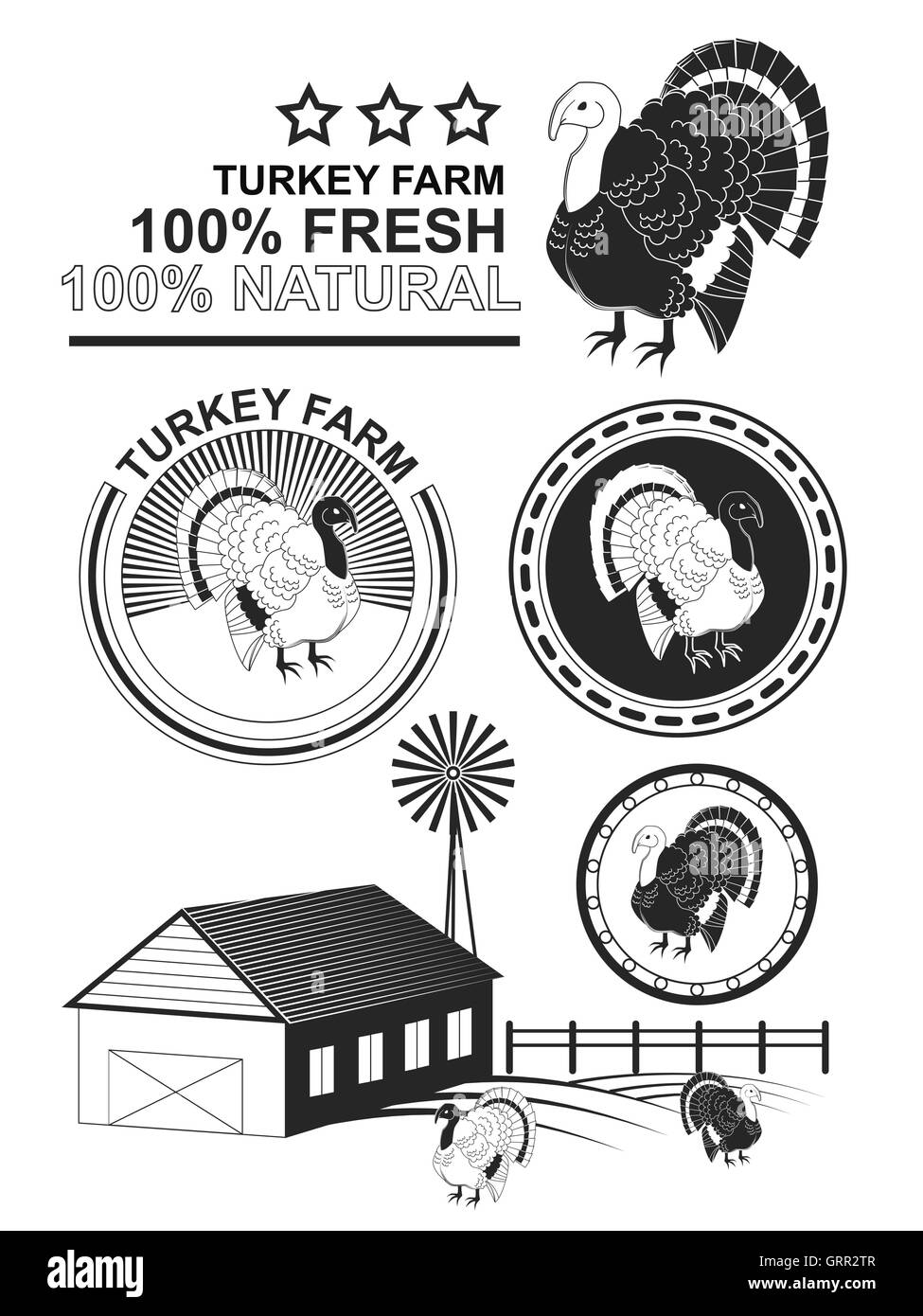 Set di premium di carne di tacchino etichette e francobolli. Vettore Illustrazione Vettoriale