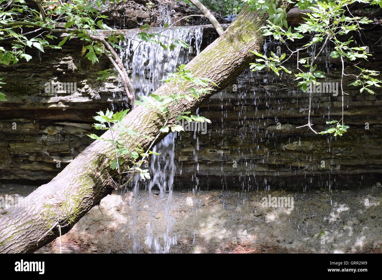 La cascata nel bosco Foto Stock
