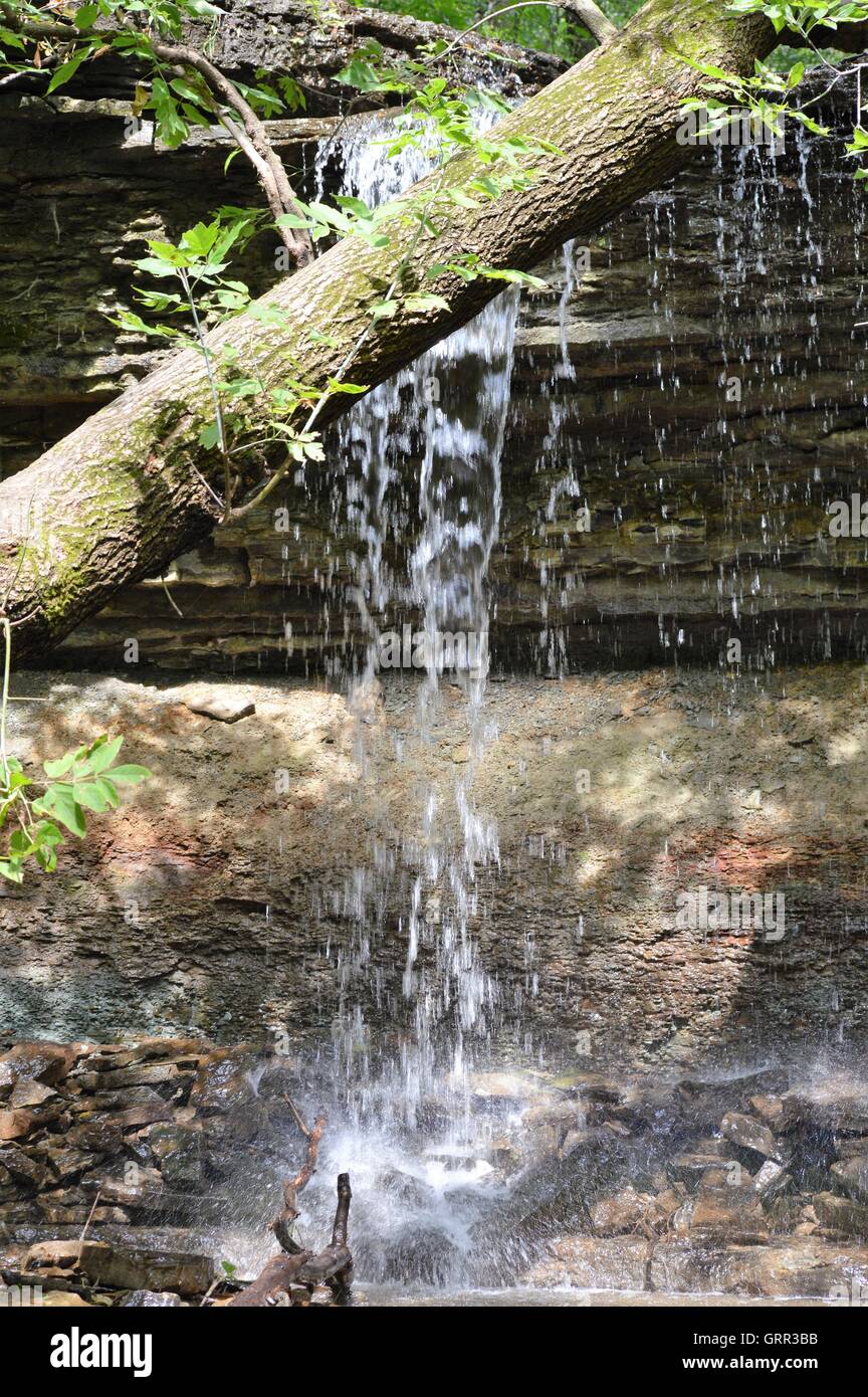 La cascata nel bosco Foto Stock