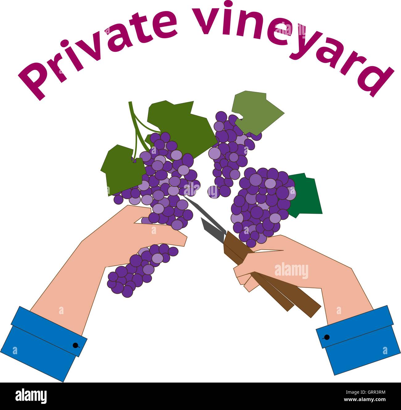 Logo del vigneto in stile piatto Illustrazione Vettoriale