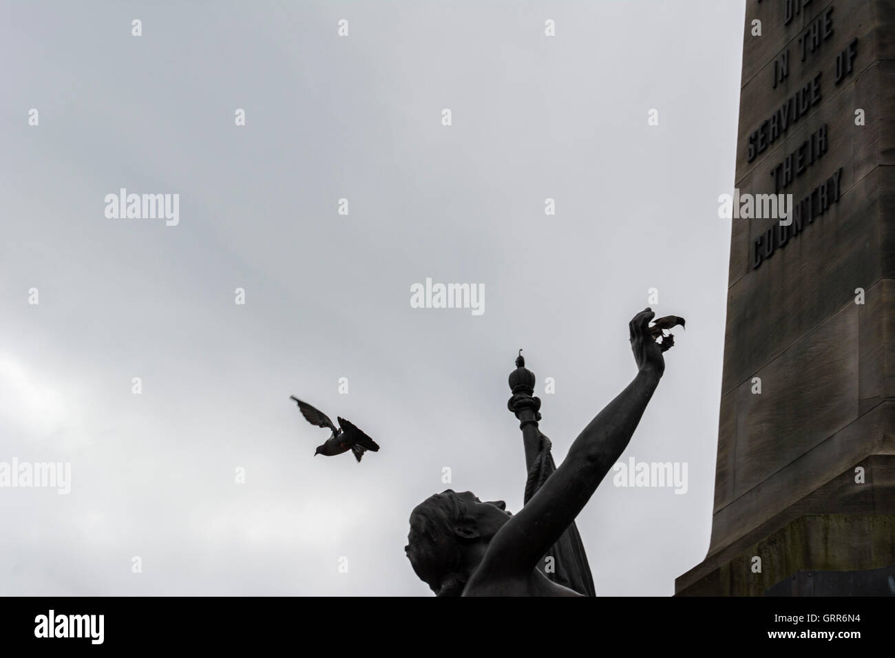 Uccello vola sopra un monumento Foto Stock