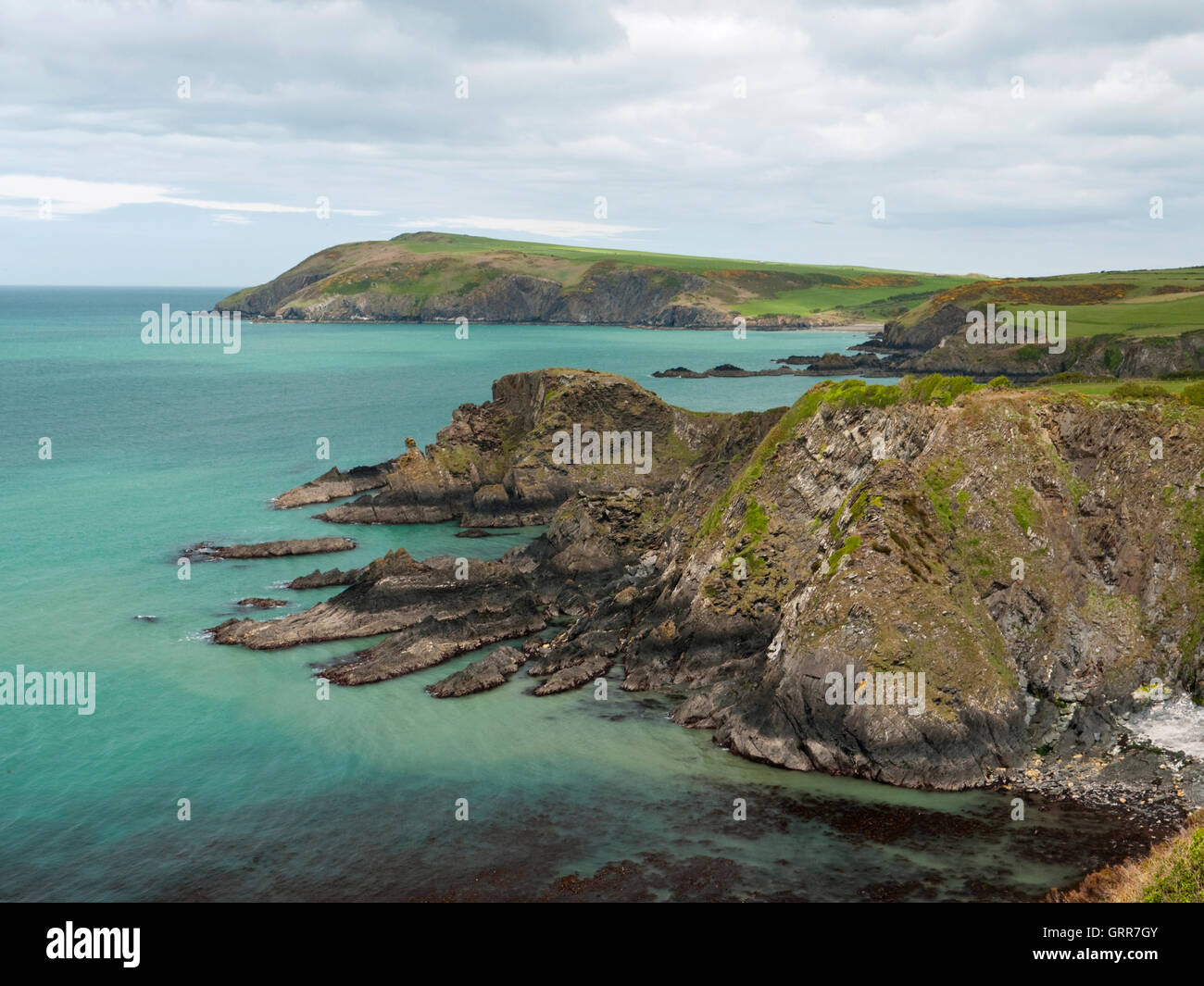 Vista di dinas isola e Dinas Capo Il Pembrokeshire Coast Path a nord-est di Fishguard Foto Stock