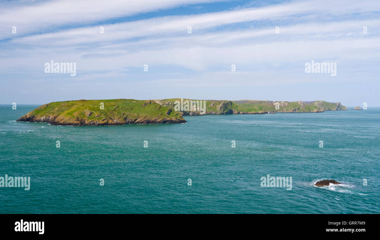 Vista dal punto Wooltack a Isola Skomer Riserva Marina Naturale, Il Pembrokeshire Coast National Park, il Galles. Foto Stock