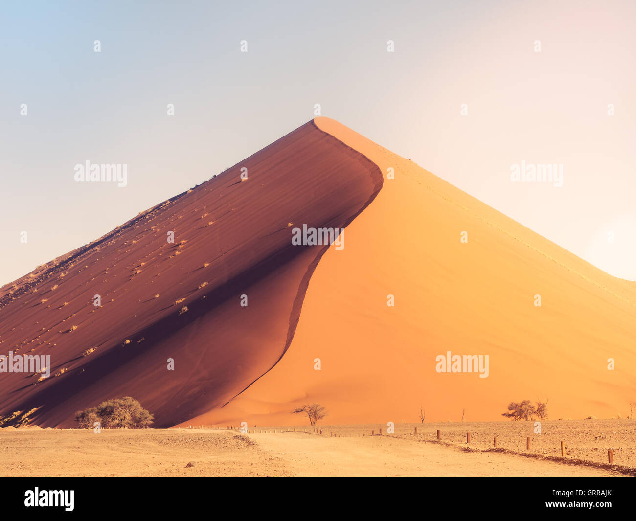 Dune 45 in Sossusvlei area del deserto del Namib in Namibia. Foto Stock
