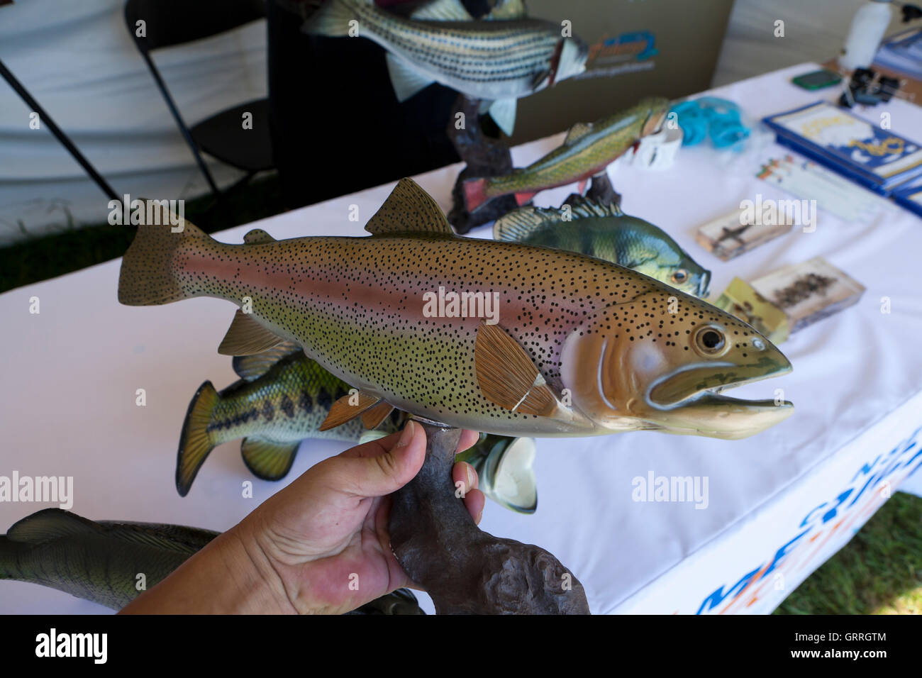 Uomo con un modello di una trota iridea pesce - USA Foto Stock