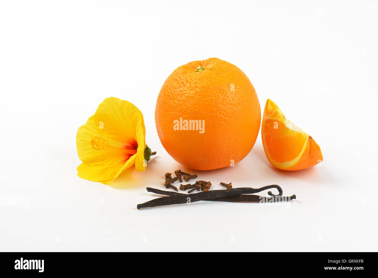 Hibiscus, arancio, vaniglia e chiodi di garofano su sfondo bianco Foto Stock