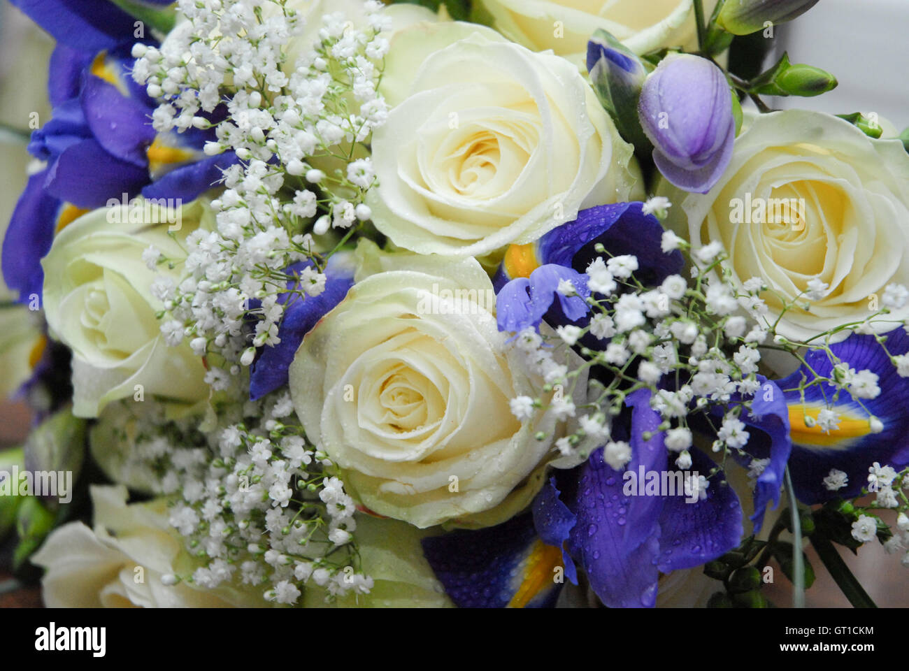 I fiori viola, bianco, bouquet nozze Foto Stock