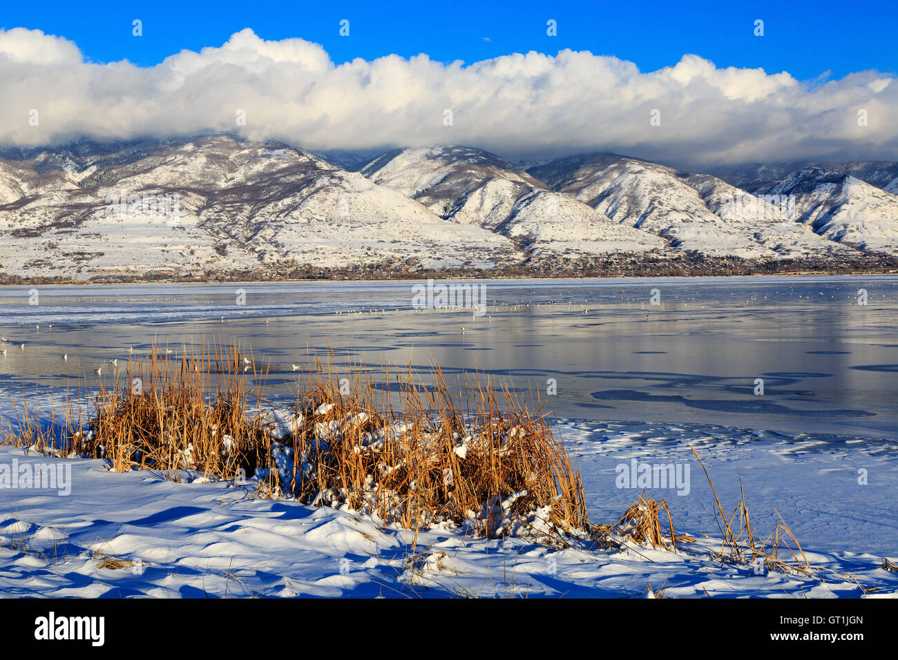 Le acque congelate di Farmington Bay Waterfowl Management Area Farmington Davis County USA Utah Foto Stock