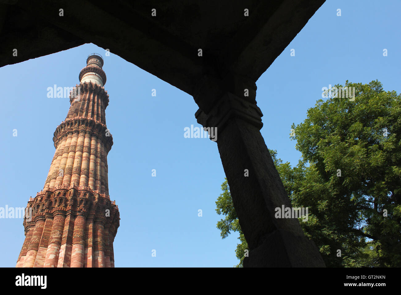 Guardando attraverso la porta Qutub Minar con struttura ad albero Foto Stock