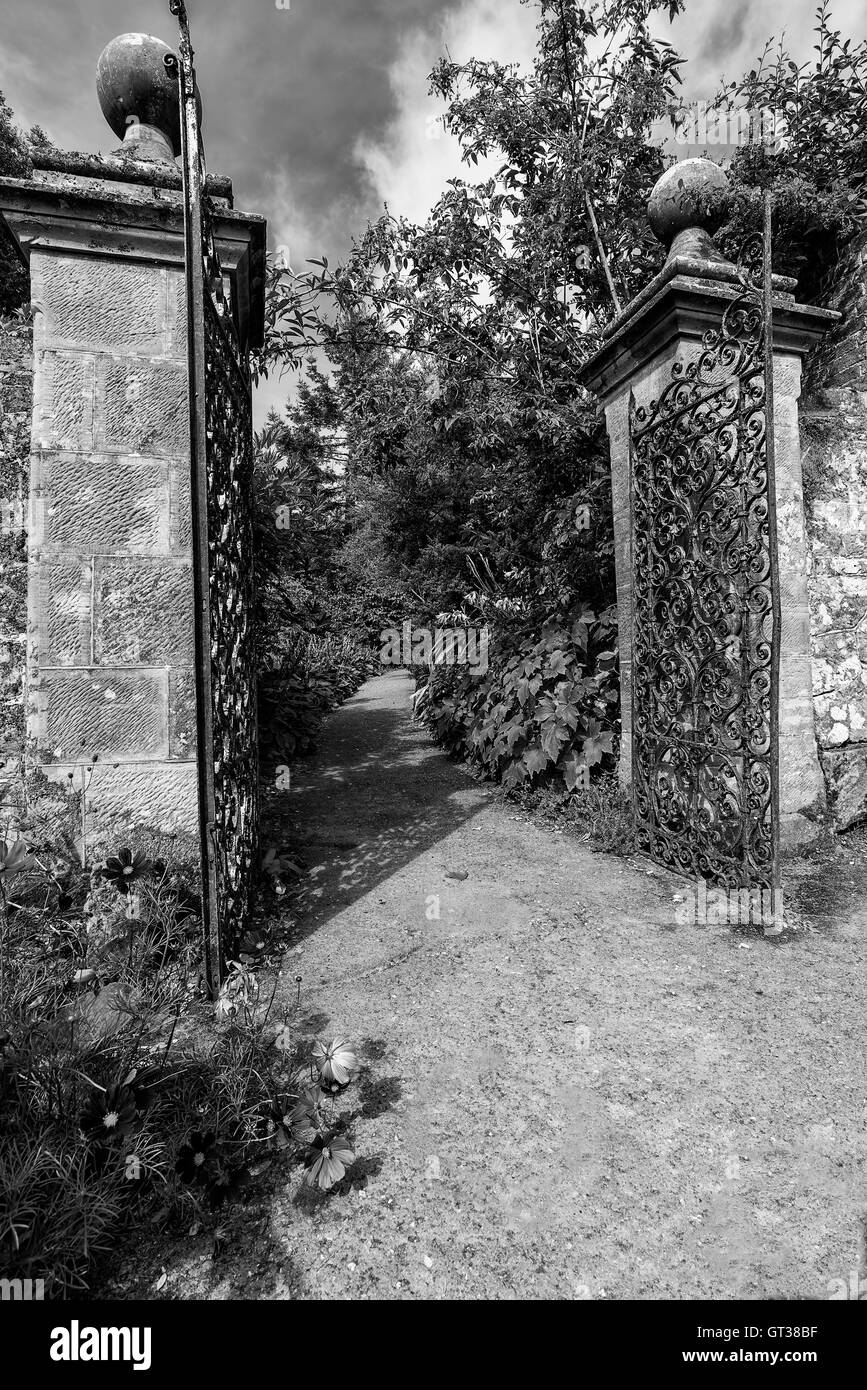 Bella e antica ferro battuto full size garden gate e un muro di mattoni in bianco e nero Foto Stock