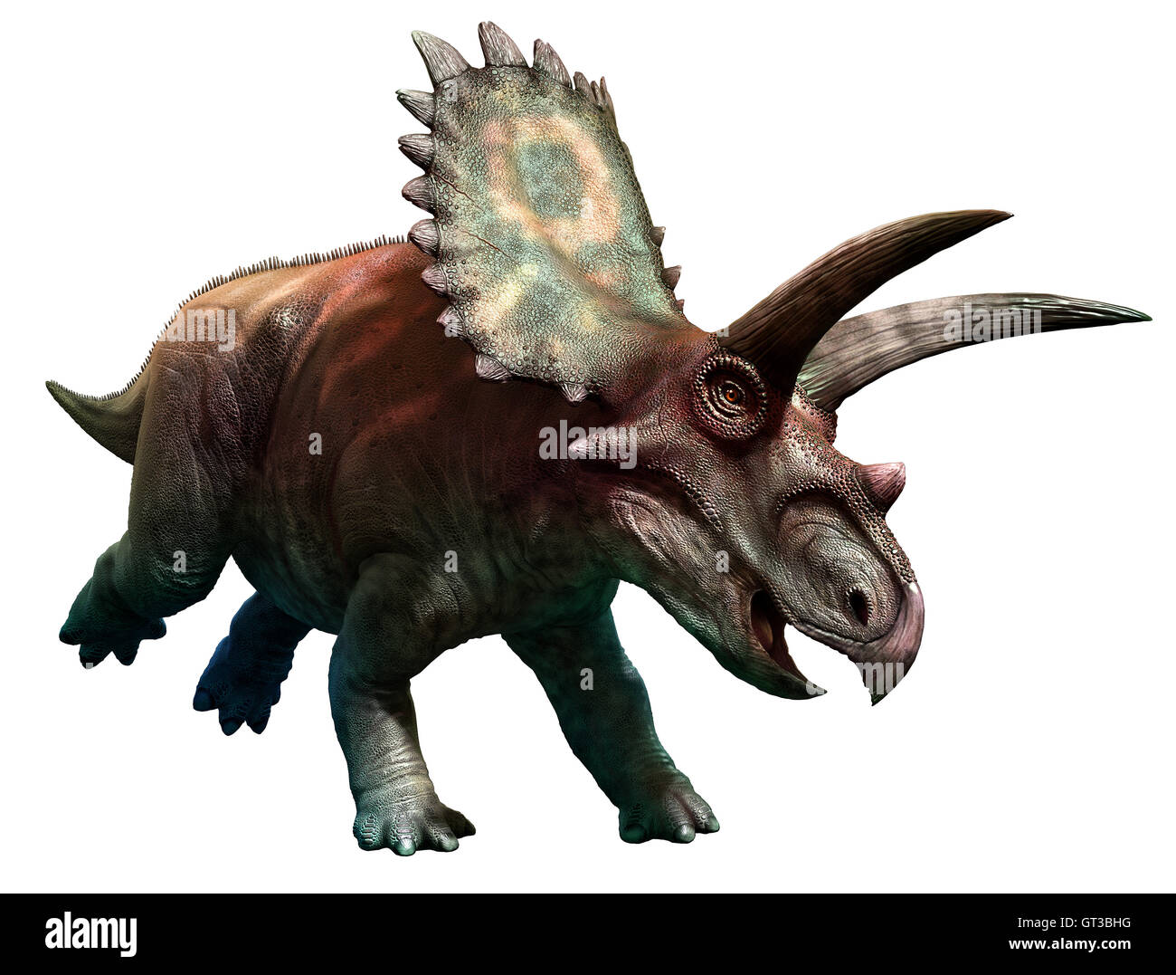 Coahuilaceratops Foto Stock