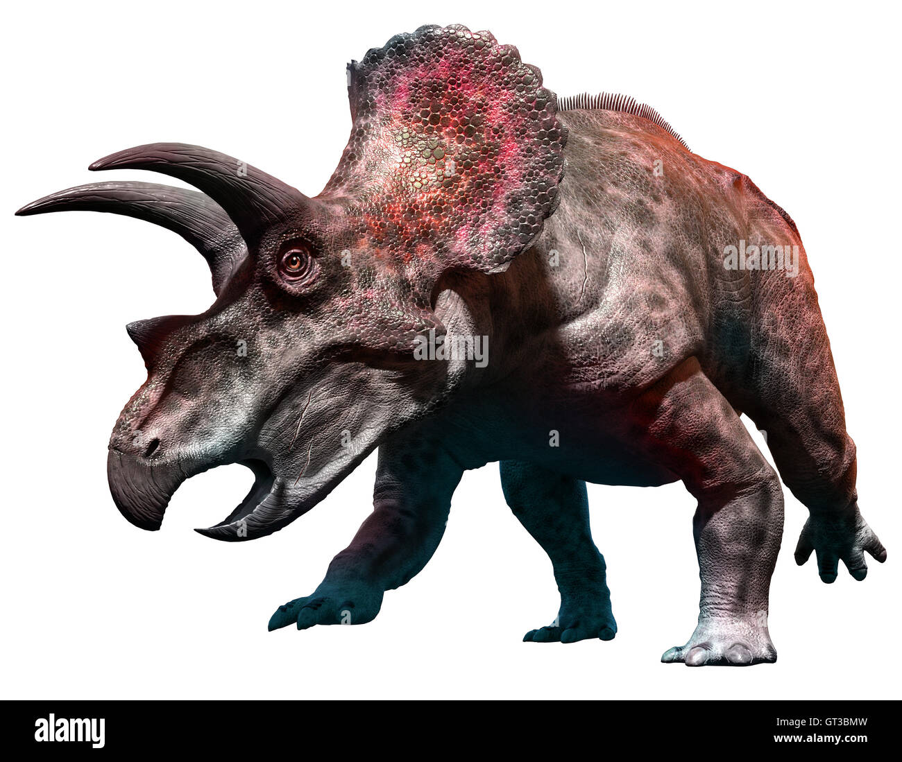 Triceratopo Foto Immagine Stock 118089017 Alamy