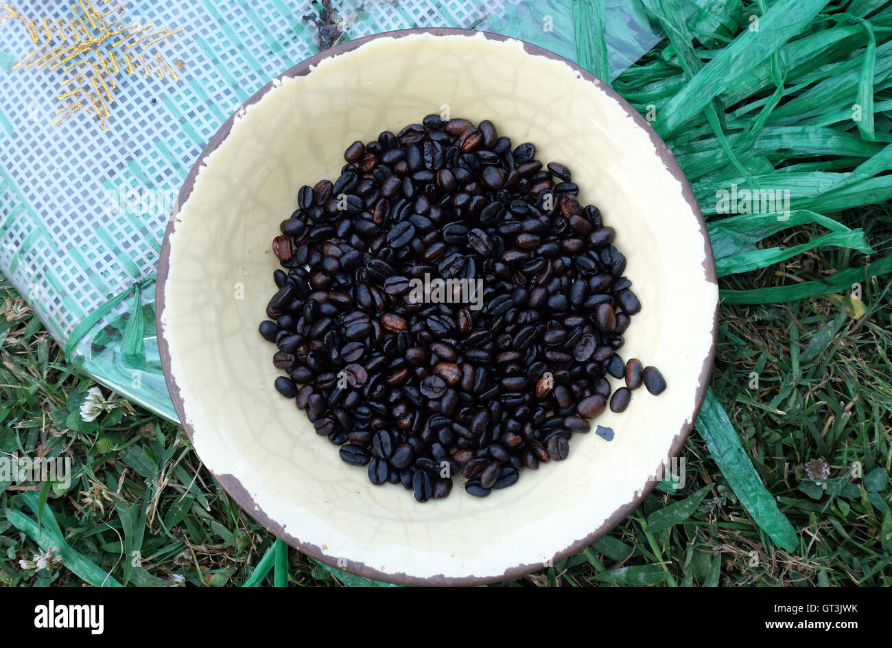I chicchi di caffè, Etiopia, Africa Foto Stock