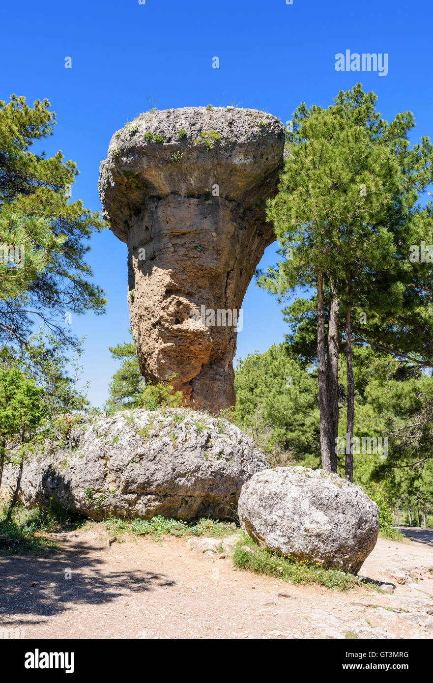 Formazione di roccia sagomata mediante erosione chiamato El Tormo Alto in La Ciudad Encantada vicino a Cuenca, Castilla La Mancha, in Spagna Foto Stock