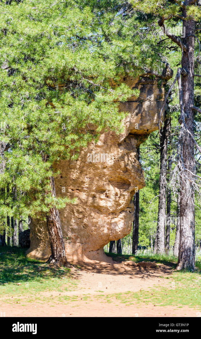 Formazione di roccia sagomata mediante erosione, chiamato La Cara del Hombre - il volto dell'uomo - in La Ciudad Encantada, Castilla La Mancha, in Spagna Foto Stock