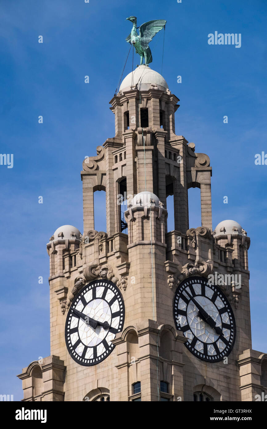Clock Tower con un uccello di fegato sul Royal Liver Building progettato da Carl Bernard Bartels Pier Head Liverpool Foto Stock