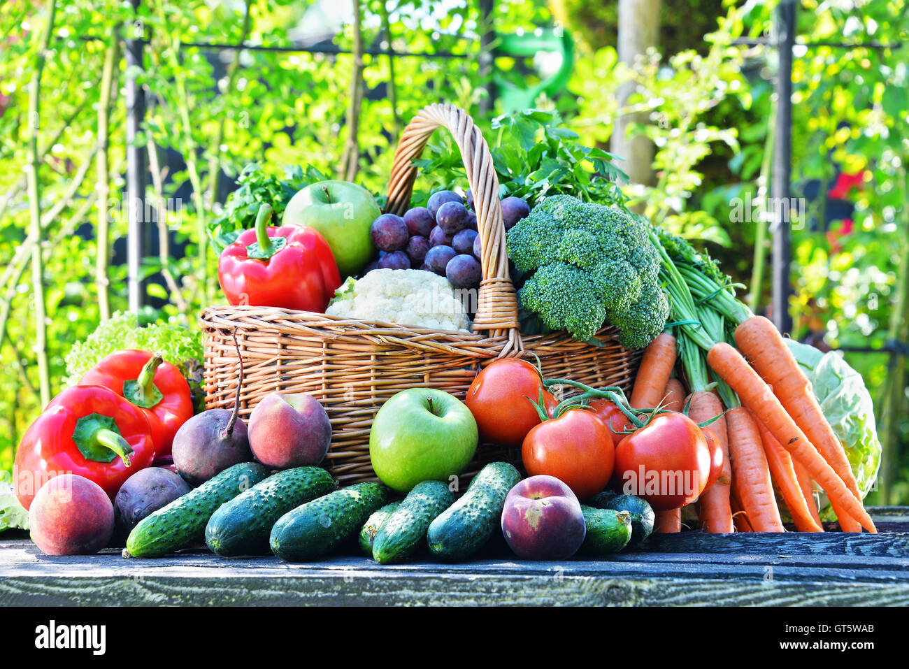 Varietà di prodotti freschi ortaggi e frutta in giardino. Alimentazione equilibrata Foto Stock