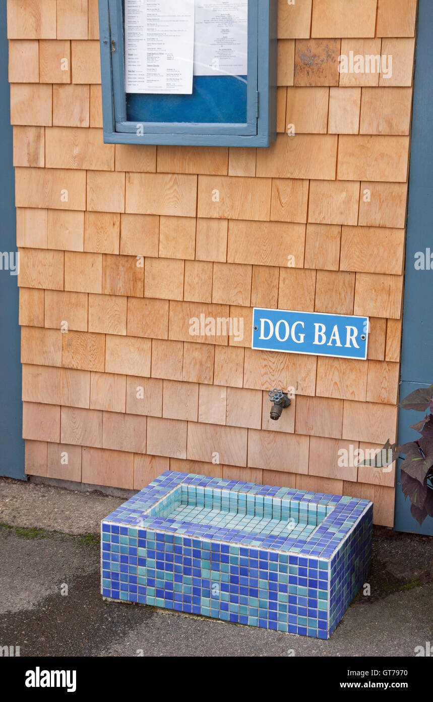 Dog bar segno al di fuori di un ristorante che offre una fontana di acqua per sete cani. Foto Stock