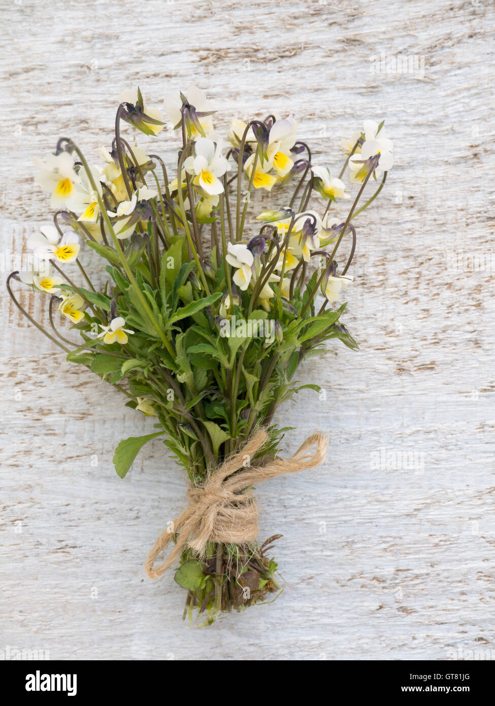 Set Di 12 Mini Vasi In Vetro Con Corda Di Iuta - Decorazione Per Matrimoni E Feste - Foto 8