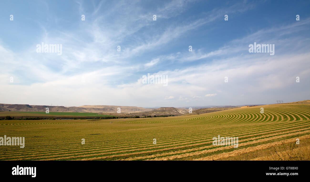 Scenario paesaggistico di piatta campagna aperta su un perno centrale farm che mostra la piantagione alternativa del raccolto per permettere la rot Foto Stock