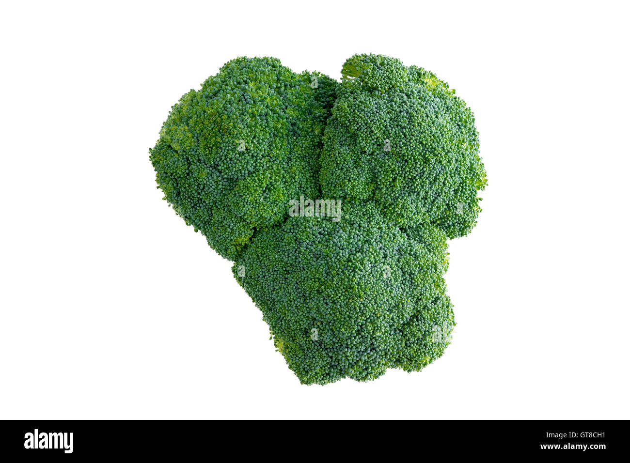 Testa della fattoria fresco verde sano broccoli, una brassica della famiglia del cavolo, vista modulo sopra isolato su bianco Foto Stock