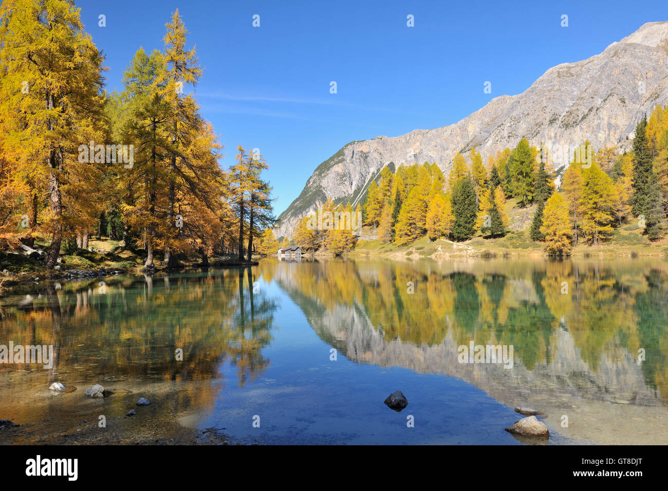 Lai da Palpuogna, Albula Pass, Grigioni, Svizzera Foto Stock