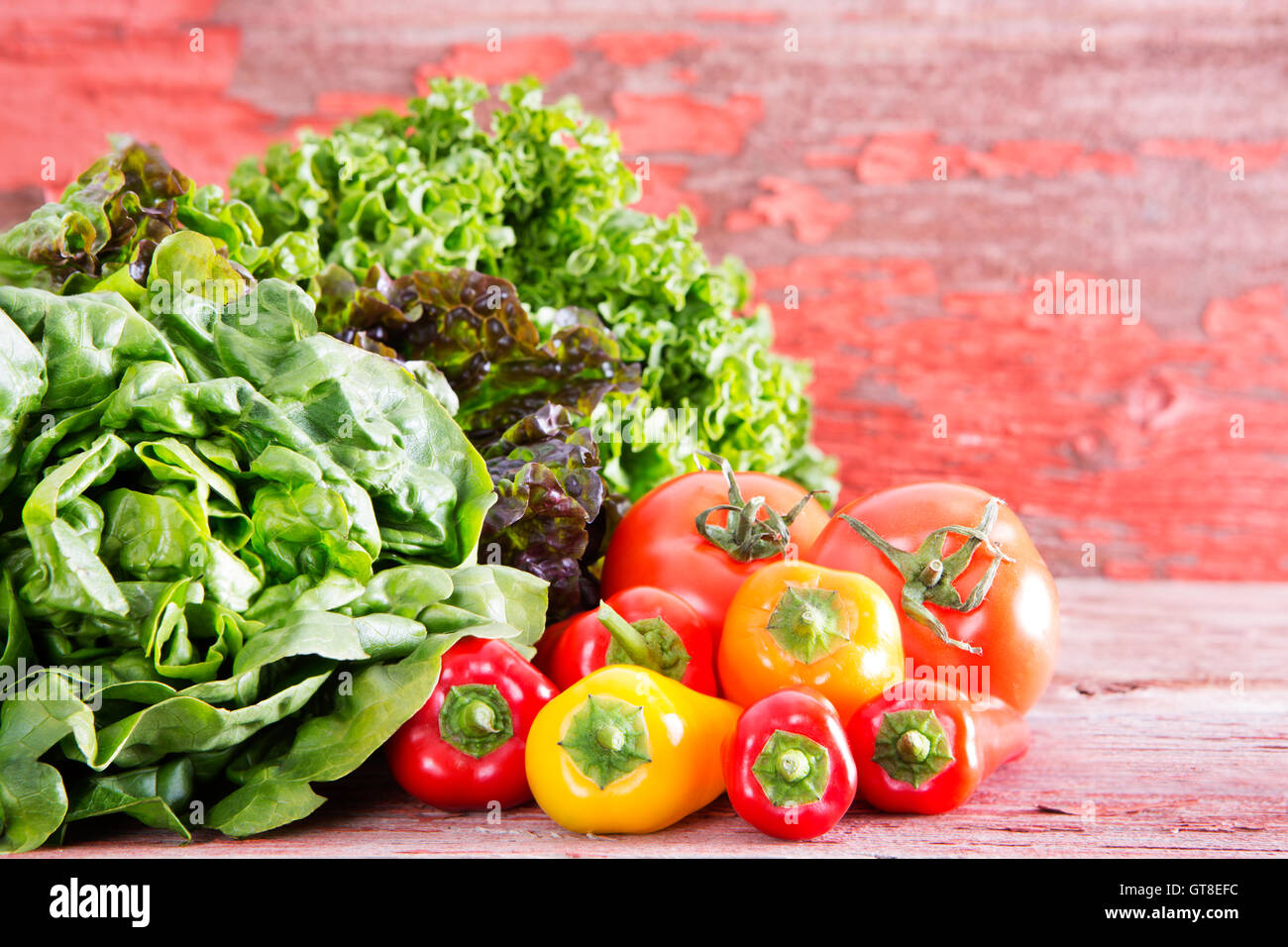 Sani e freschi ingredienti insalata in una fattoria di mercato con un assortimento di varietà di lattuga visualizzata su rustiche tavole in legno con ripe rosso Foto Stock