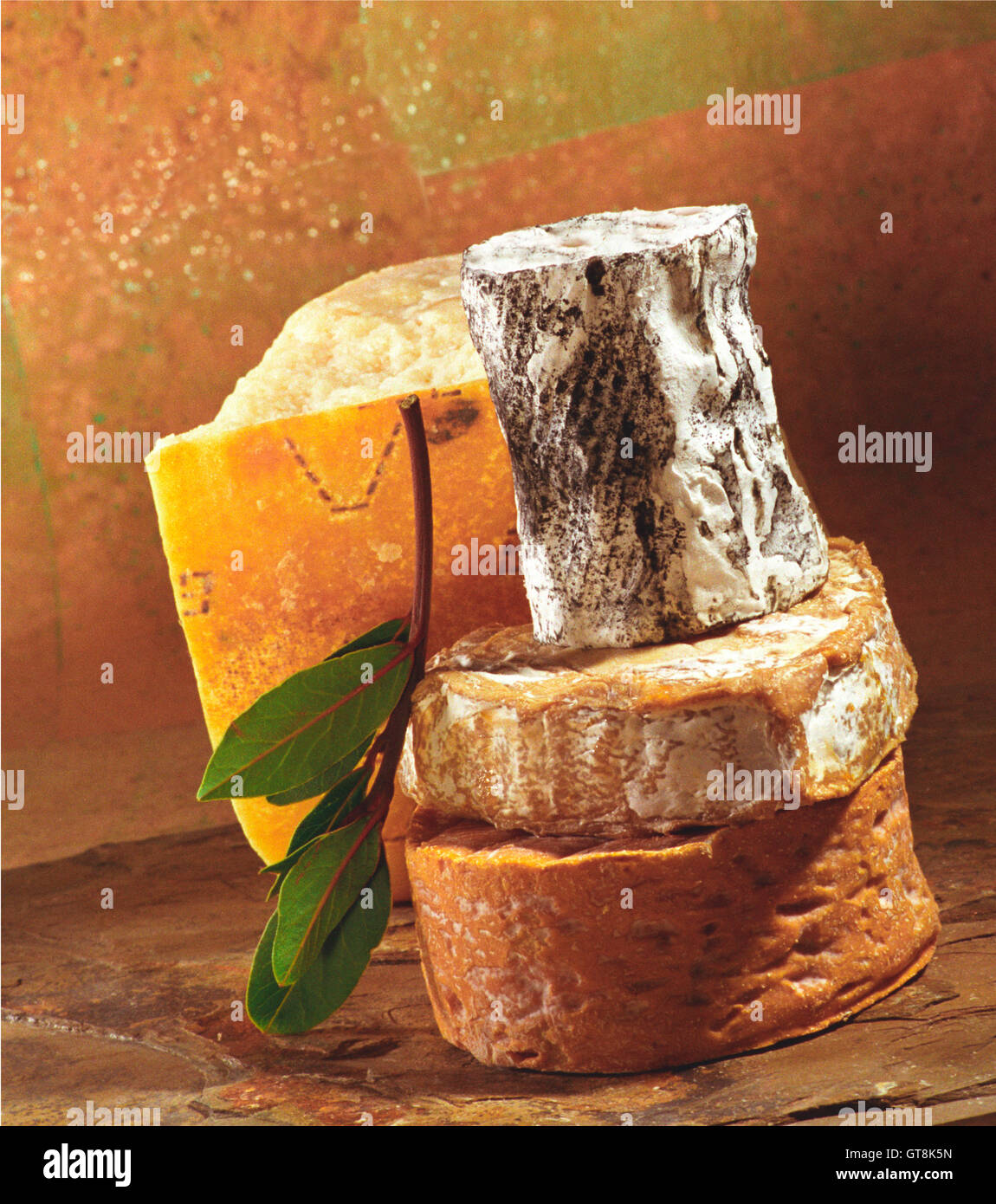 Pila di formaggi sulla superficie di pietra con fresche foglie di alloro, studio shot Foto Stock