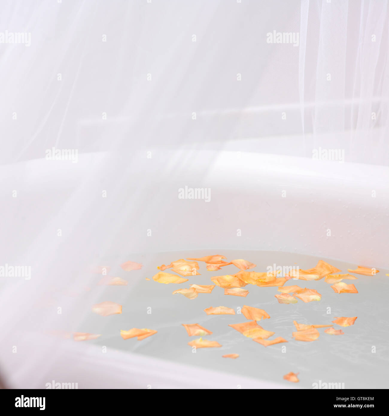 Vasca riempita con acqua e petali di rose Foto Stock
