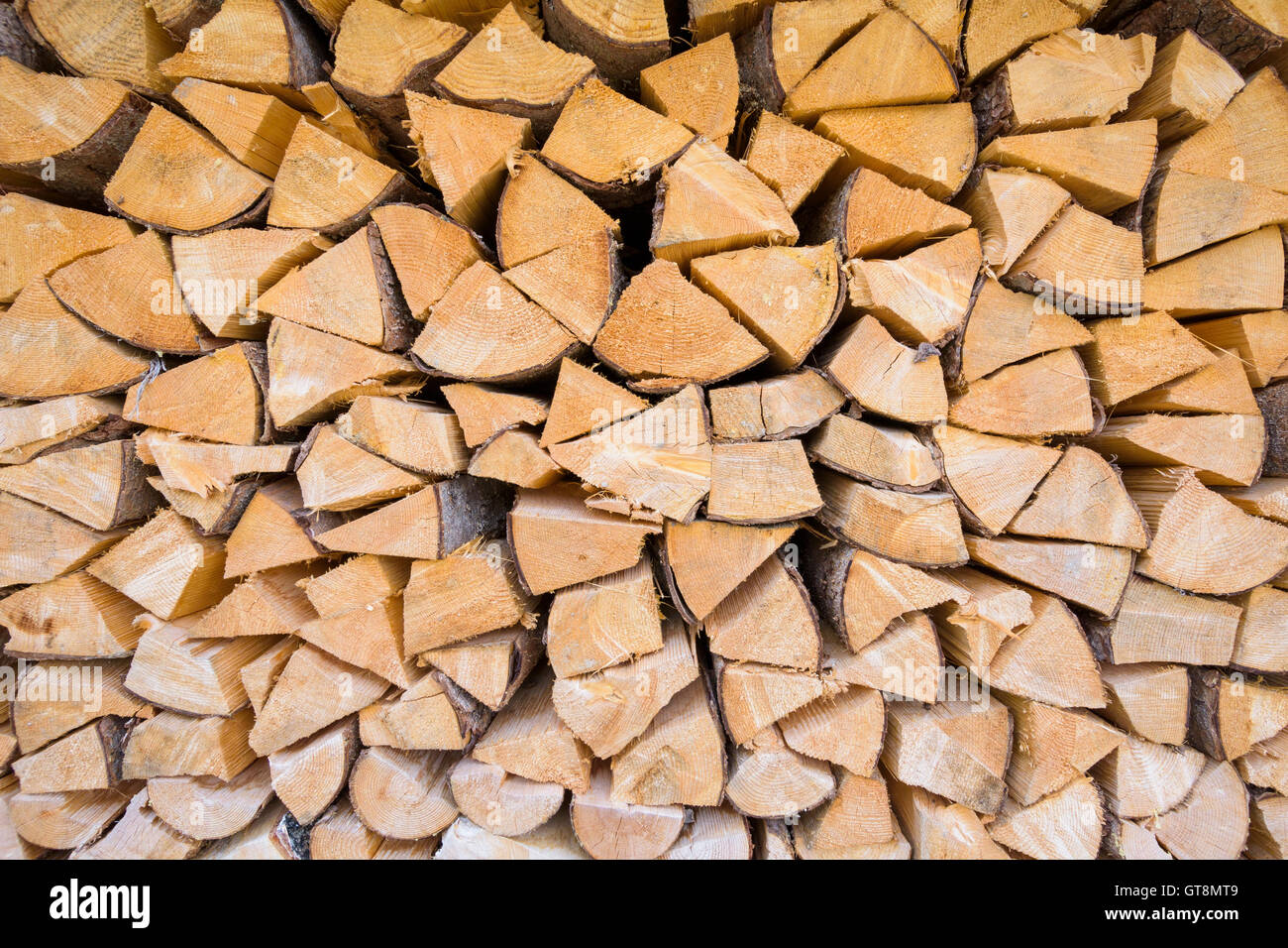 Close-up della catasta di legna da ardere, Alta Baviera, Baviera, Germania Foto Stock