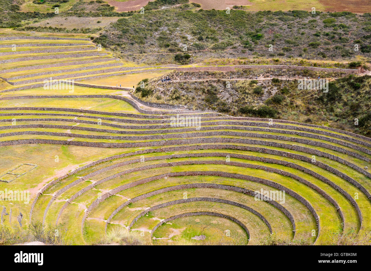 Antica circolare Inca terrazzamenti agricoli a Moray usato per studiare gli effetti delle diverse condizioni climatiche sulle colture Foto Stock