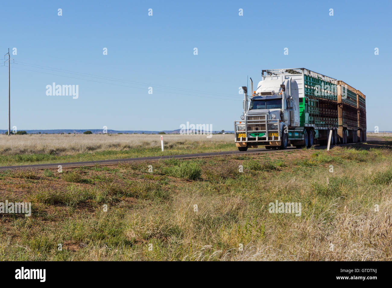 Road train / semi-rimorchio tenendo al bestiame di mercato in outback Queensland con copyspace Foto Stock