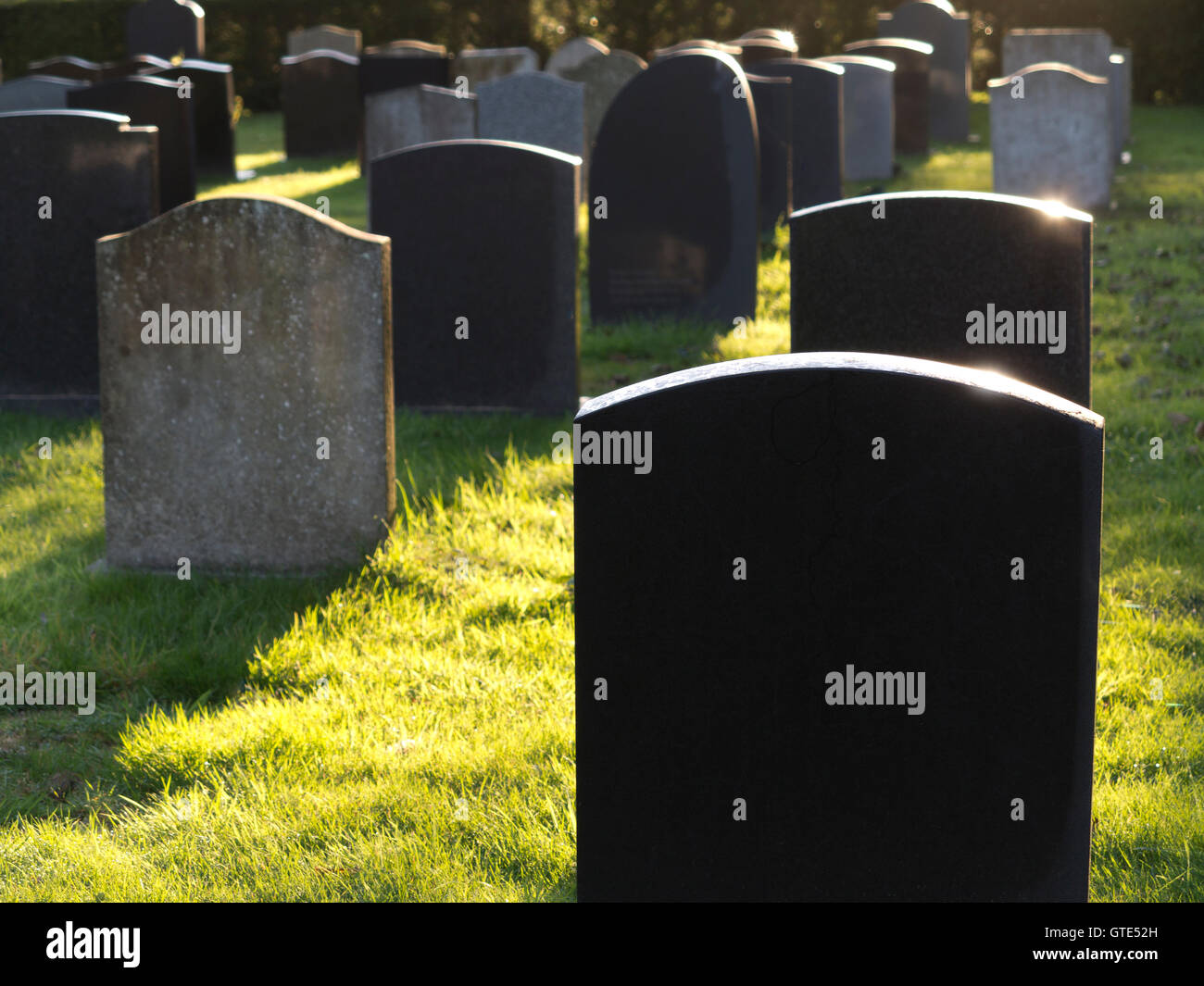 Lapidi in un cimitero di Aldeburgh,Suffolk,retroilluminati da il sole basso con lunghe ombre su erba verde Foto Stock