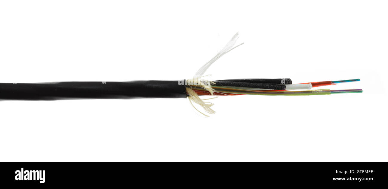 Fibra ottica, cavo ottico dettaglio isolato su sfondo bianco. Tubi allentati con fibre ottiche e forza centrale stati incl Foto Stock