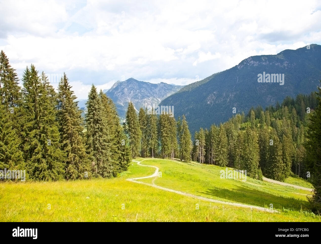 Bella vista sulle montagne in estate in Tirolo, Austria Foto Stock