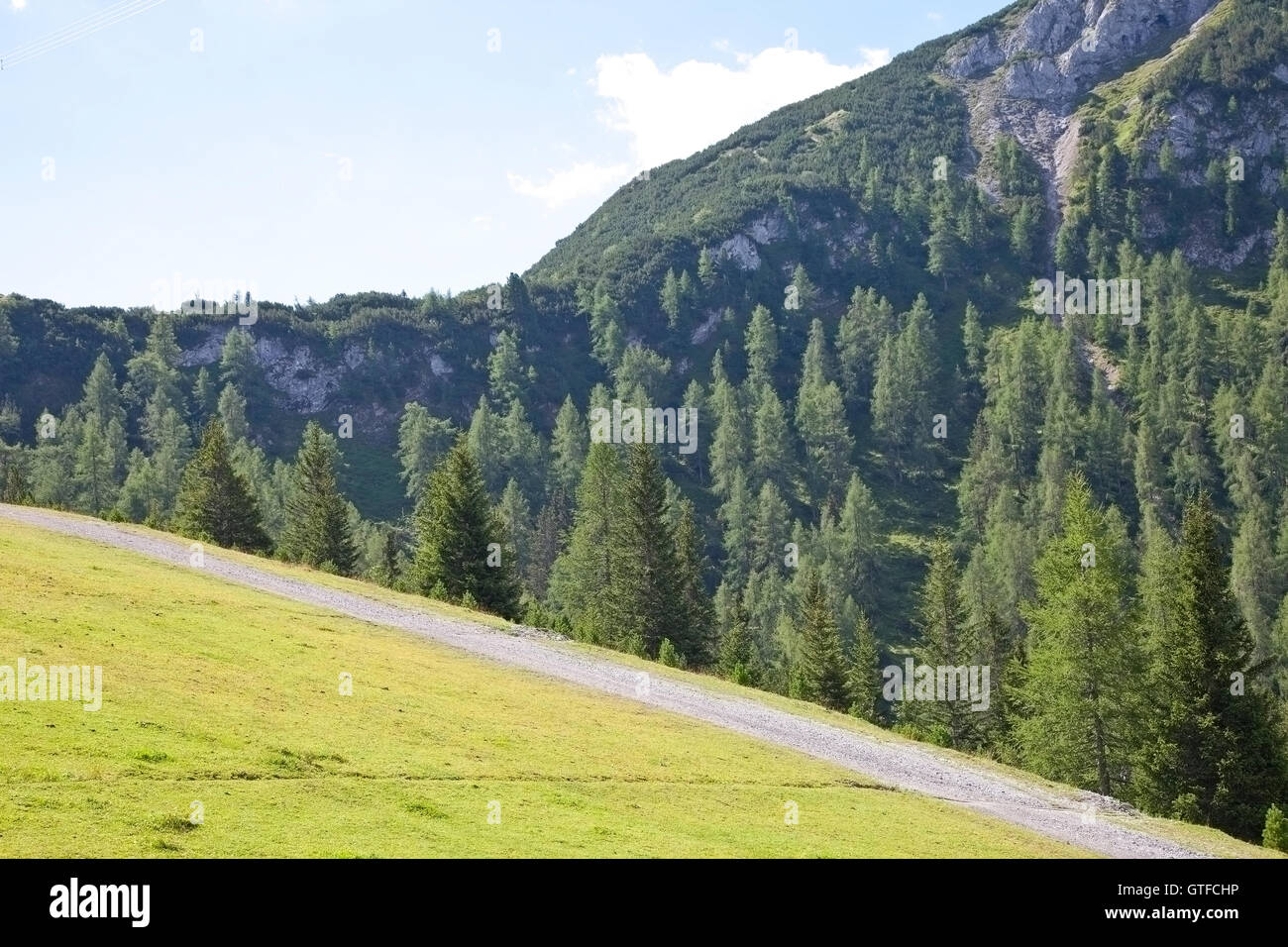 Bella vista sulle montagne in estate in Tirolo, Austria Foto Stock