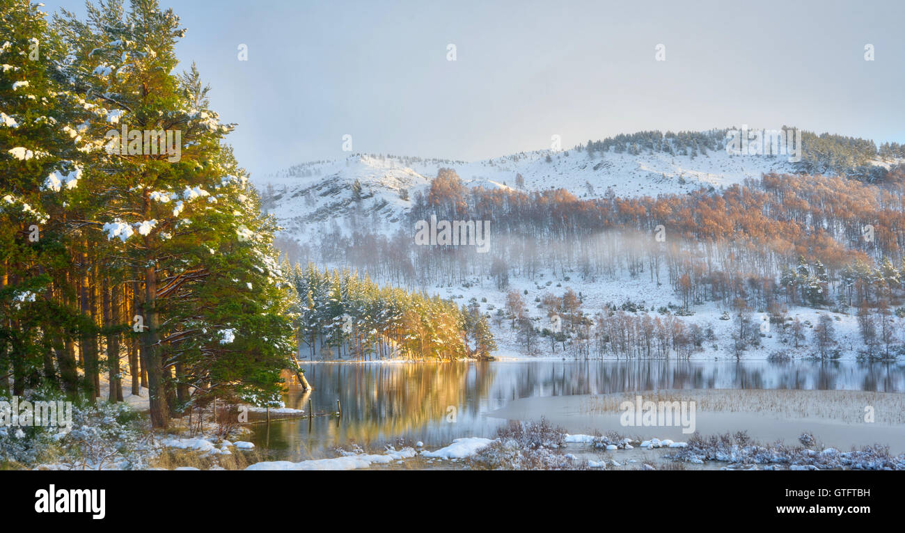 Loch Pityoulish nei Cairngorms. Nevoso inverno Lago, preso in Scozia con bella luce su alberi di pino e montagne. Foto Stock
