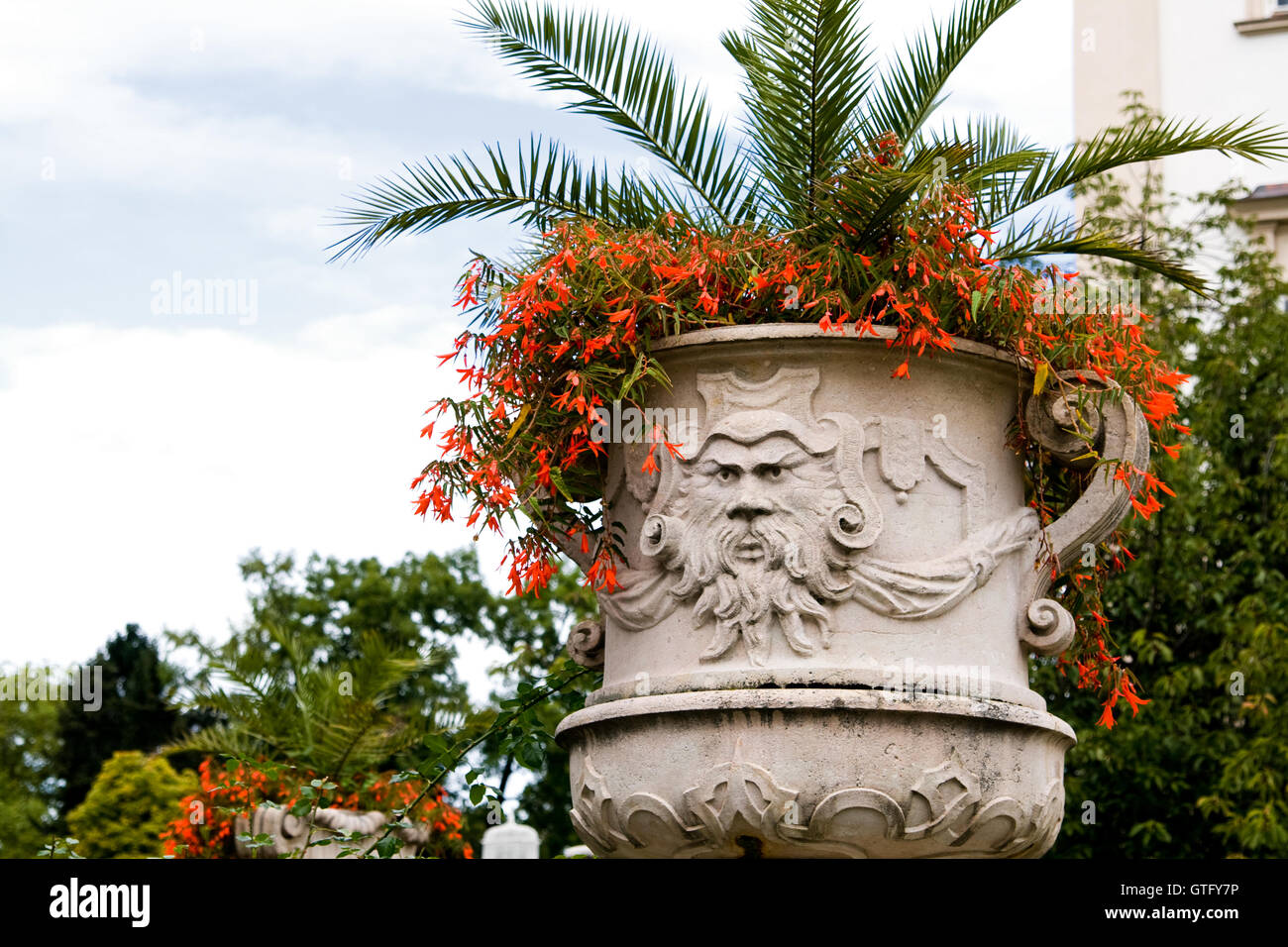 Un letto floreale con red s fiori bianchi Foto Stock Un letto floreale con red s fiori bianchi Foto Stock