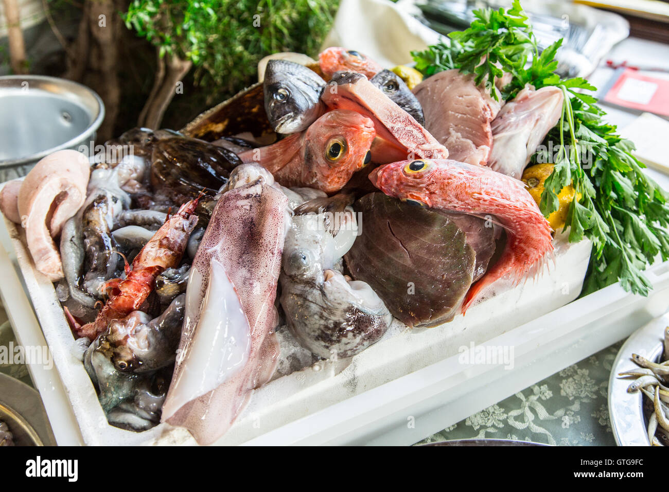 Pesce fresco e altri piatti a base di pesce. Foto Stock
