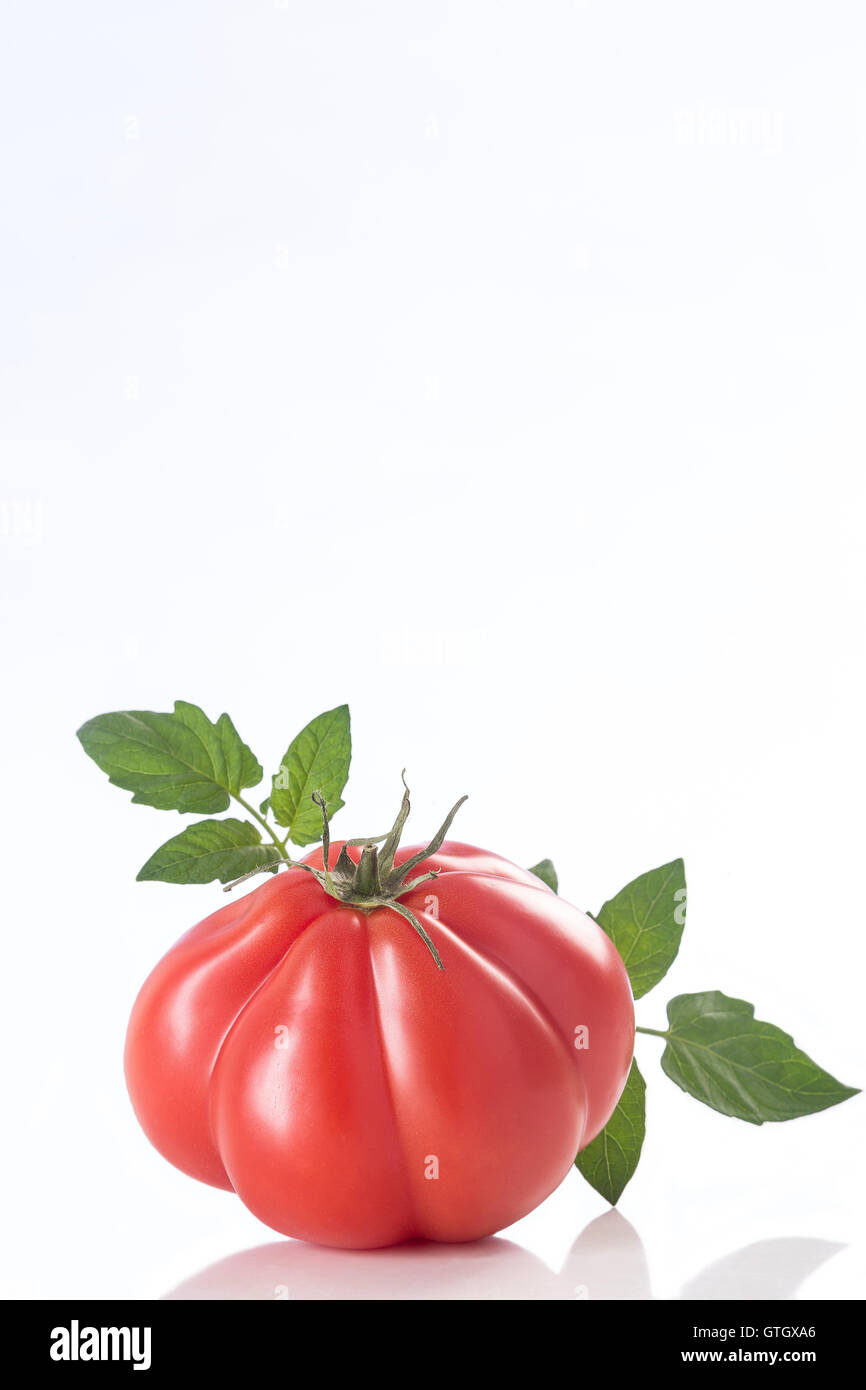 Cimelio di pomodoro, grandi close-up tutto su sfondo bianco Foto Stock