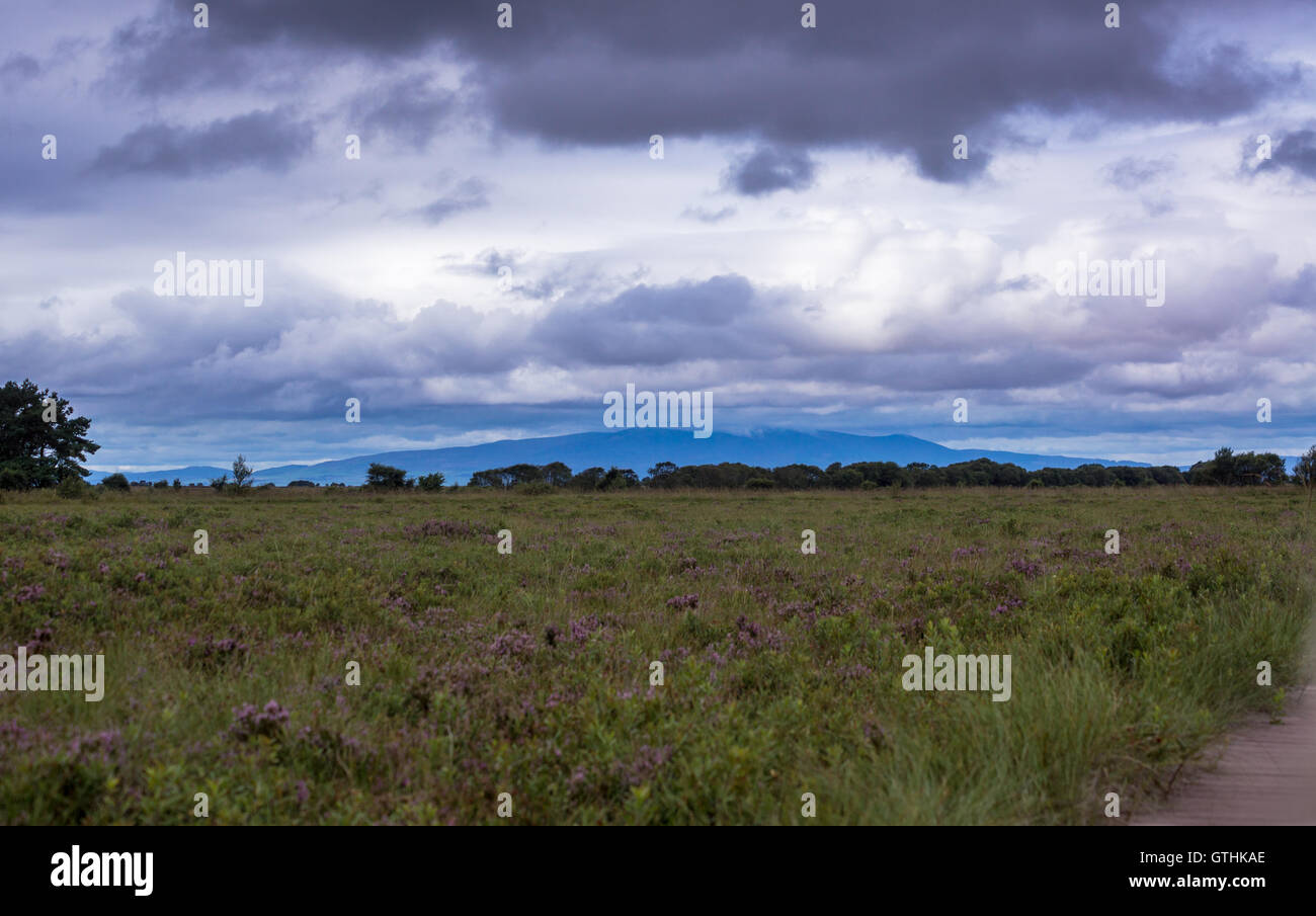 Lowther Hills, Dumfries & Galloway, visto da Bowness comune, Campfield Marsh RSPB Riserva, Bowness-on Solway, Cumbria, Inghilterra Foto Stock