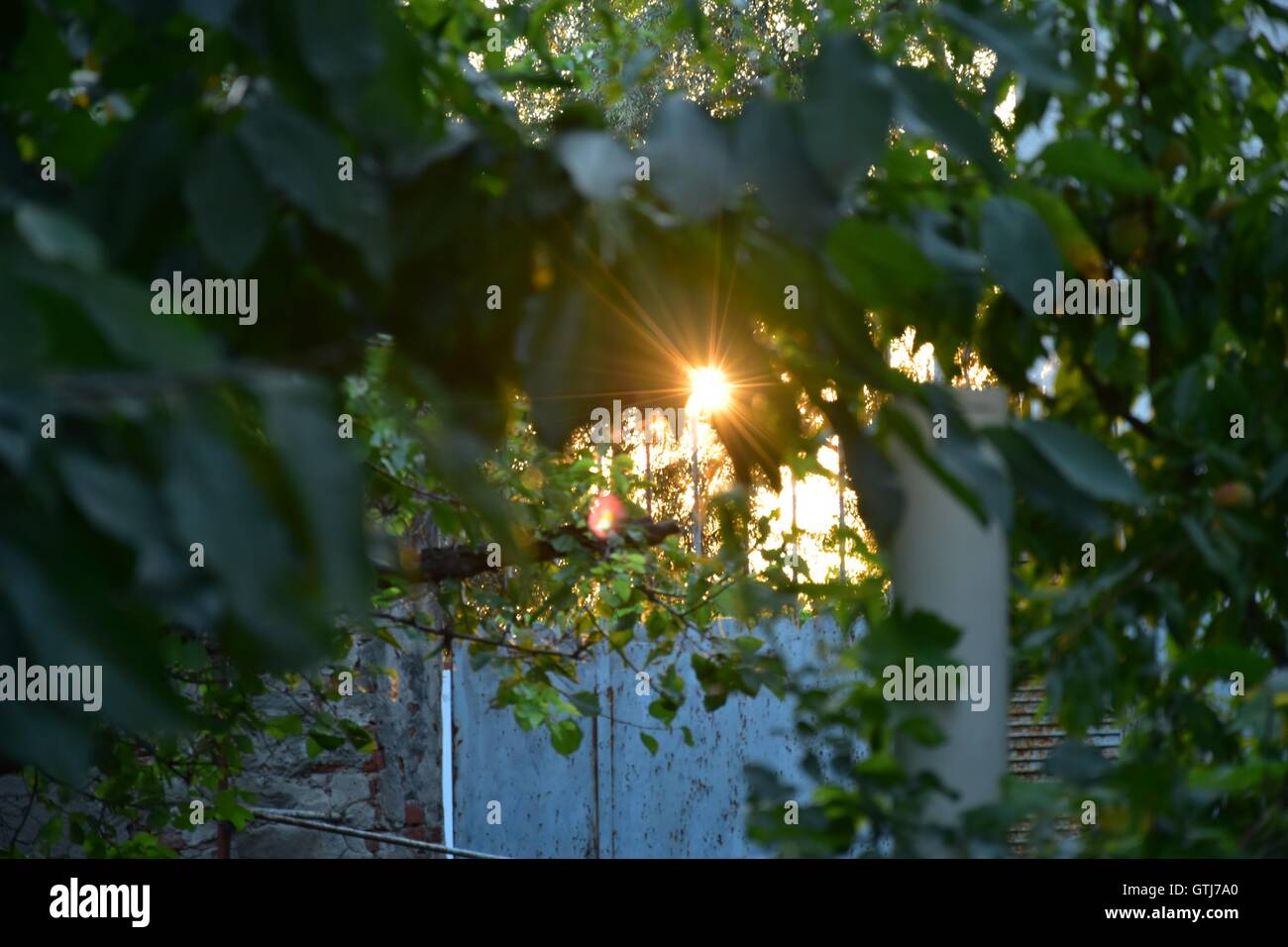 Bello e splendido tramonto, alba e tramonto su Torino, Piemonte, Italia. Marco Imazio © Foto Stock