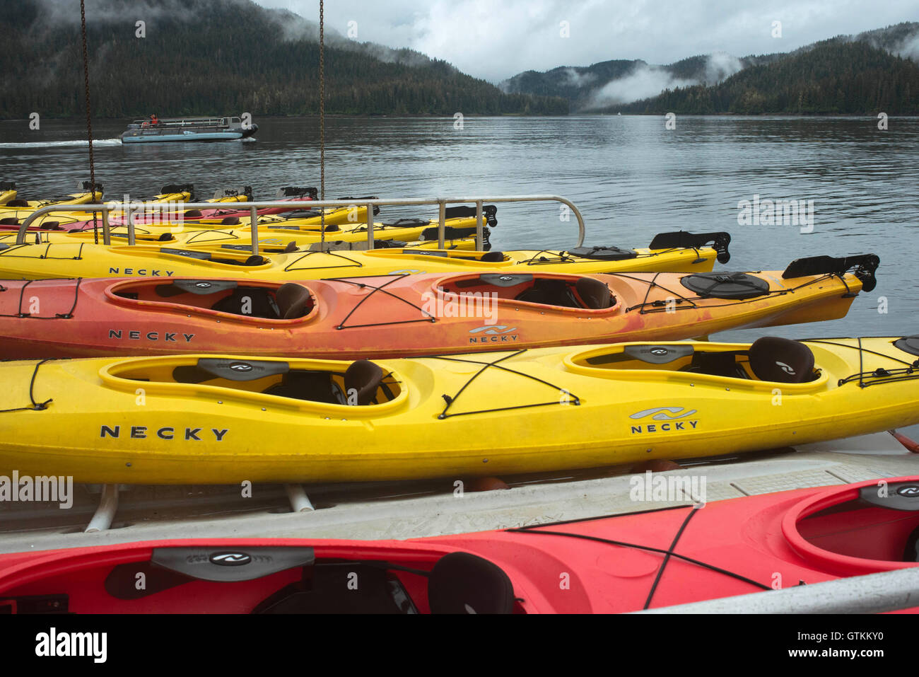 Kayak da mare accanto alla nave da crociera Safari Adoperano vicino a Reid ghiacciaio nel Parco Nazionale di Glacier Bay, Alaska, Stati Uniti d'America. Tutti i nostri viaggi a noi Foto Stock
