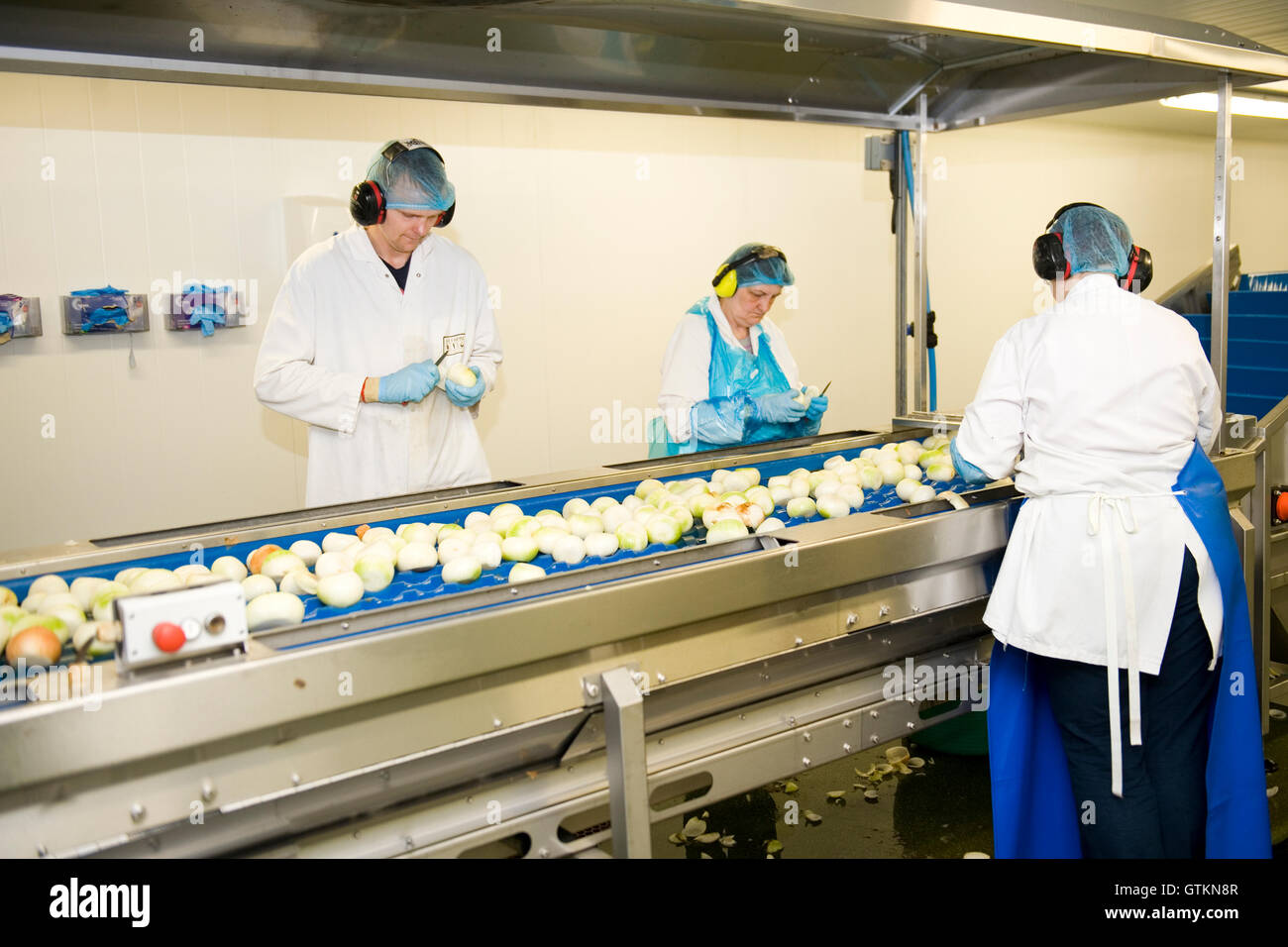 Onion ordinamento in una fabbrica Foto Stock