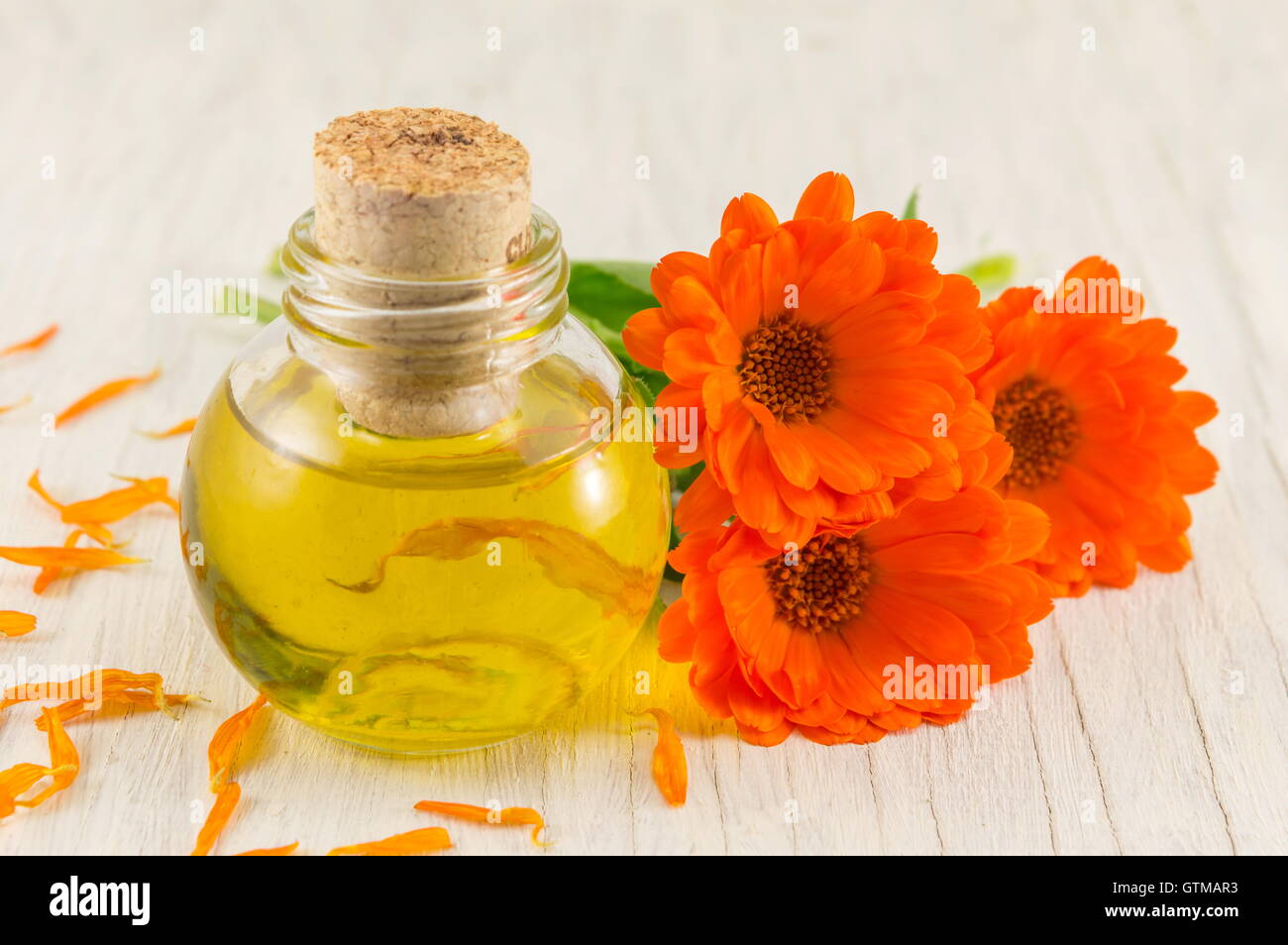 Olio alla calendula con un fresco bouquet di fiori. La cosmesi naturale Foto Stock