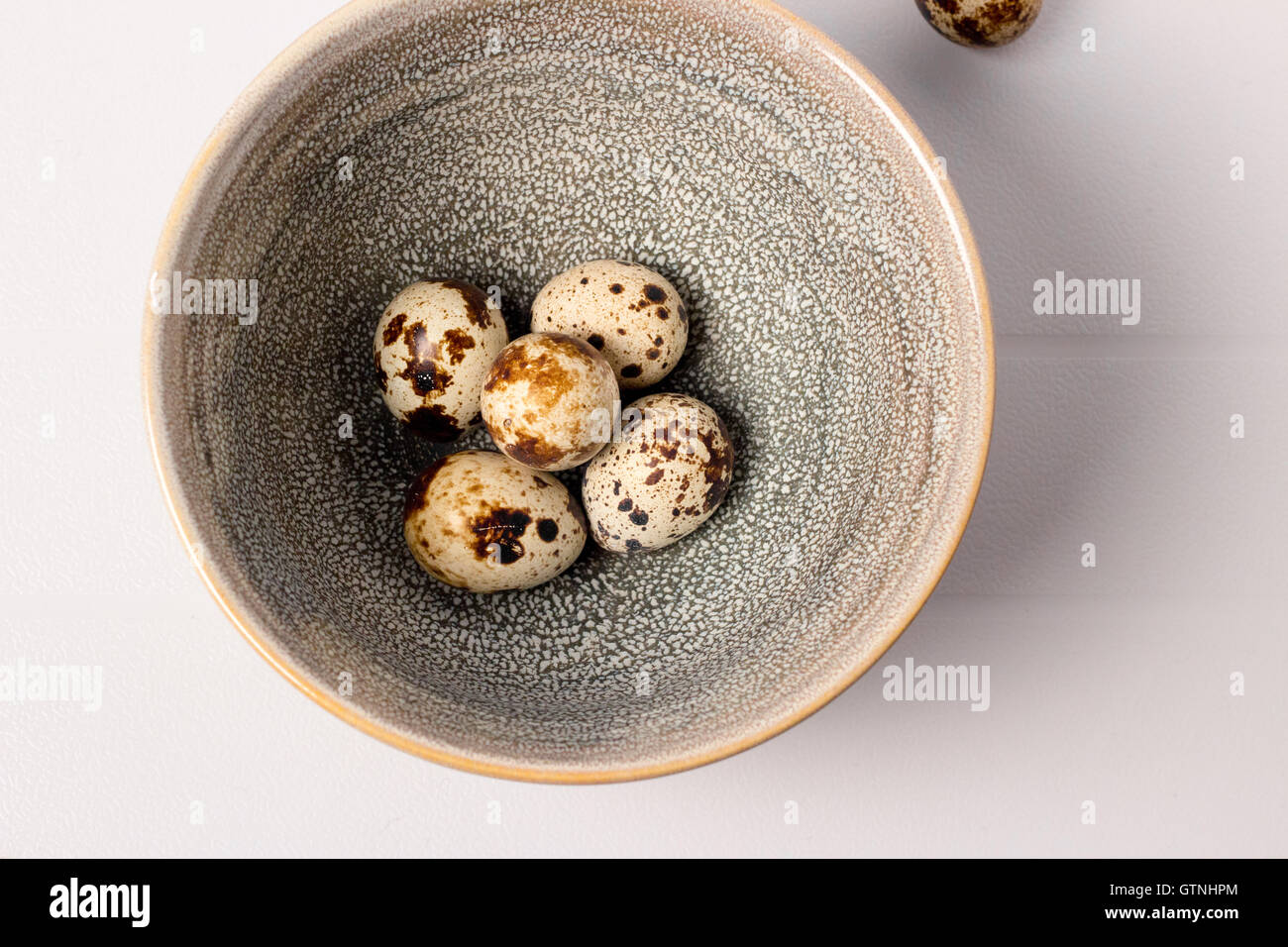 Uova di quaglia Foto Stock