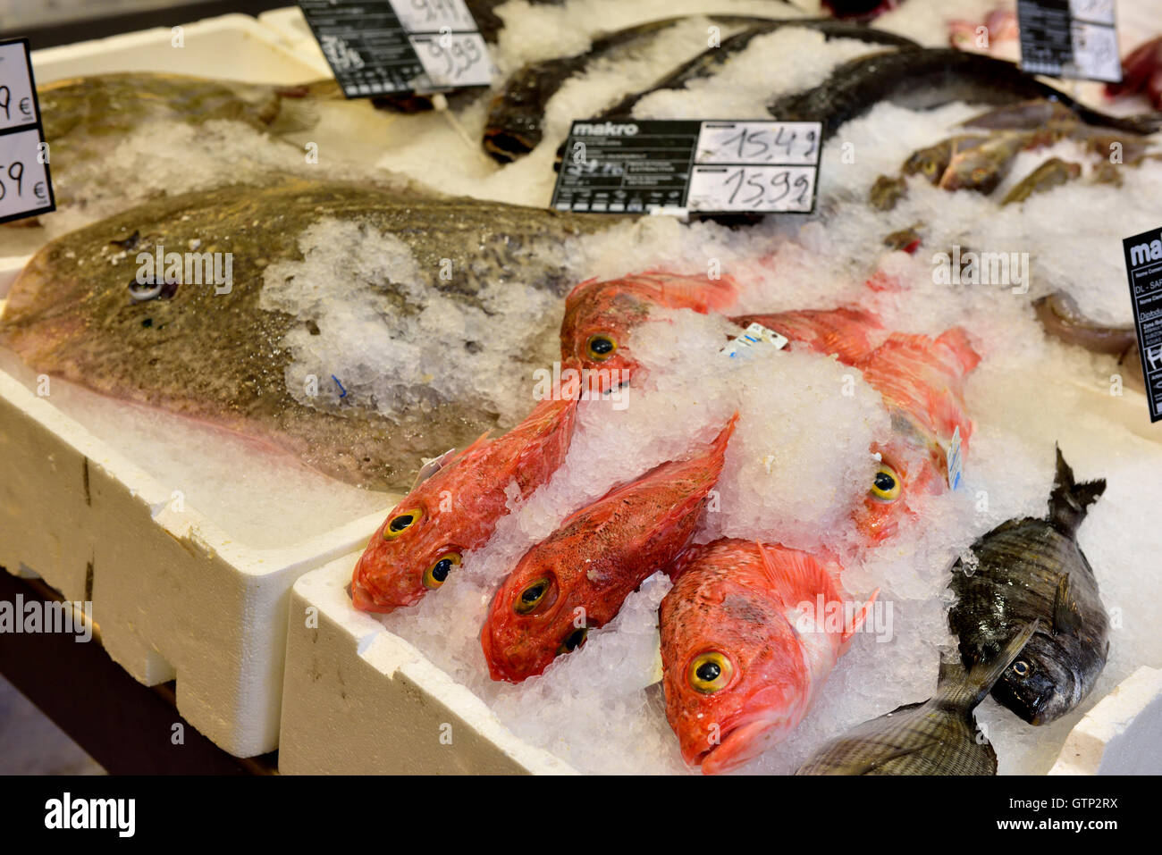 Varietà di pesce in vendita su ghiaccio, Algarve, Portogallo meridionale Foto Stock