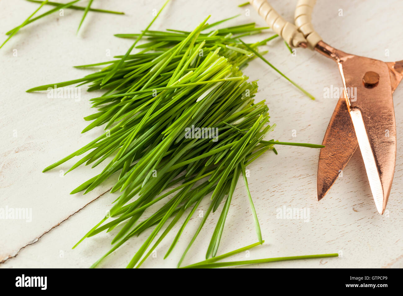 Un sano materie Grano verde erba tagliata di fresco Foto Stock