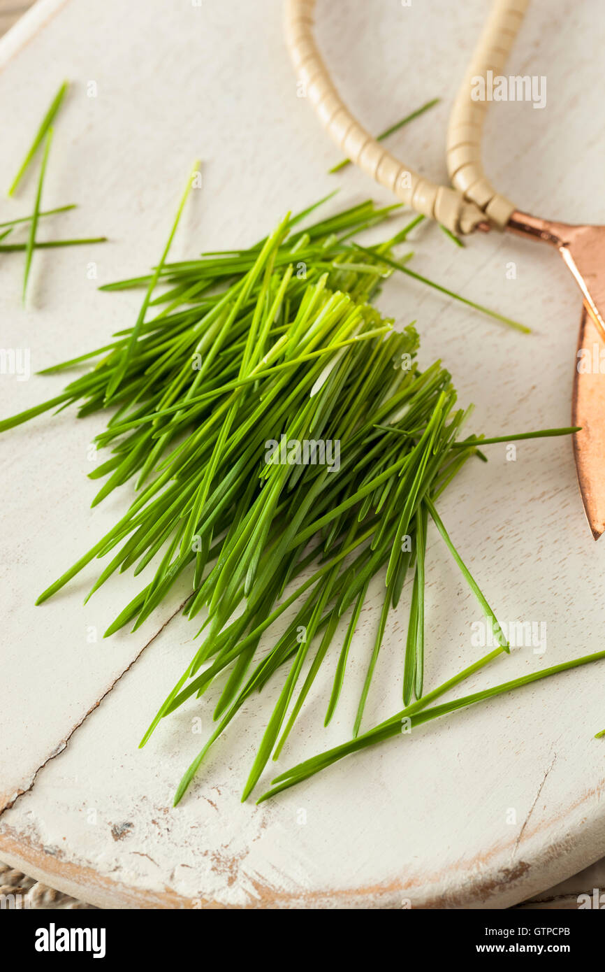 Un sano materie Grano verde erba tagliata di fresco Foto Stock